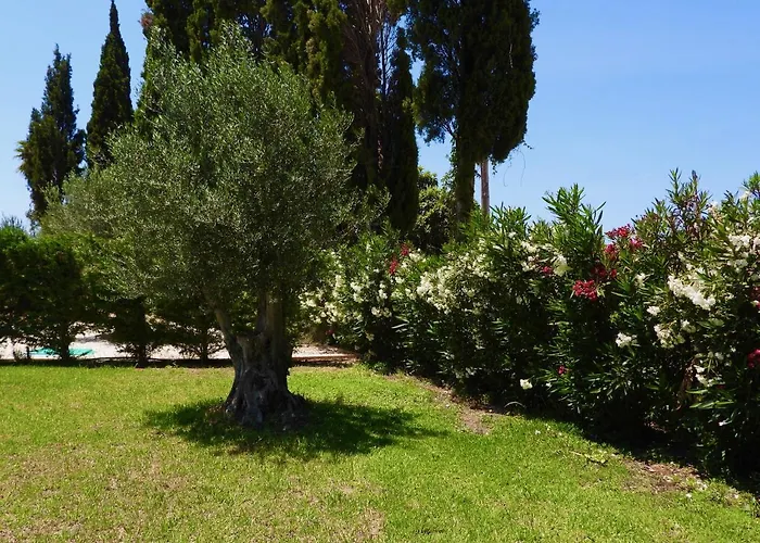 Cypress Garden