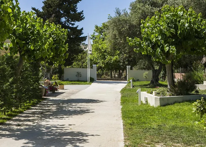 Cypress Garden *