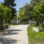 Cypress Garden *